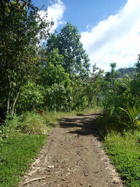 The main part of the farm - driveway in