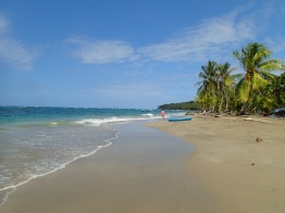Perfect Caribe Sur beach - this I think was Manzanilla